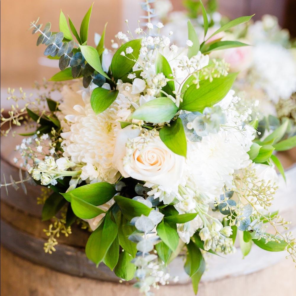 Meet your Posher, Ella